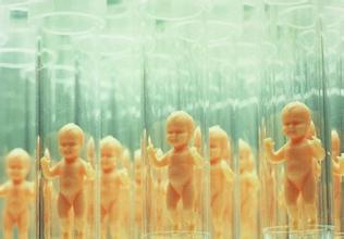 男性因素案例